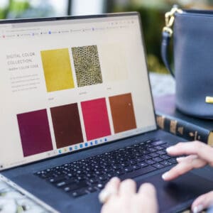 The Virtual Color Experience