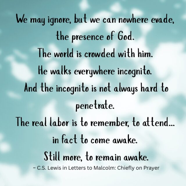 I recently spent some intentional time with my family—no distractions, no rushing, just being together. It reminded me of the power of being fully present. There’s something sacred about slowing down, looking into someone’s eyes, listening fully, and savoring the moment. 

It made me think: if being present with my loved ones matters this much, how much more important is it to be present with God?

So, when I encountered this quote by CS Lewis (how have I missed this one?), it resonated deeply with me. Especially the part about coming awake…and staying awake. 

Leaning into His presence has been instrumental in helping me unclutter my soul, so I know I need to attend daily, consistently, and intentionally. 

The truth is, God is always present. The question is—are we? 

The world is crowded with Him. But it’s so easy to miss Him in the rush, the noise, the distractions. It is easy to drift through our days without noticing Him. 

I’m learning that practicing His presence is less about striving and more about slowing down, paying attention, being still, and choosing to wake up to His nearness.

In my next post, I will share an acrostic I created using the word P.R.E.S.E.N.T. to offer seven simple, soul-stirring tips—and some thoughtful questions—to help you practice the presence of God right where you are.

Because He is here. Let’s not miss Him.